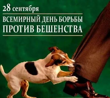 Борется против