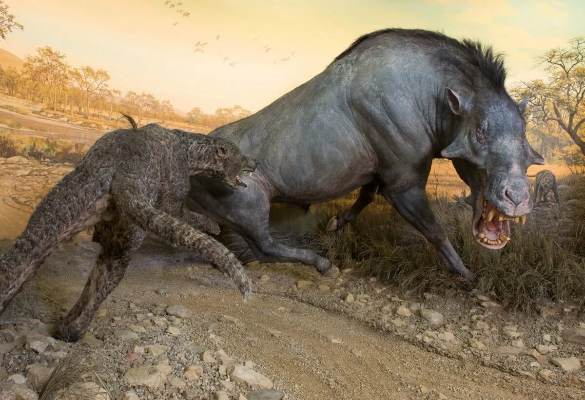 Тамарин лысый. Вымершие животные. Бурчеллова зебра квагга. Зденек буриан палеоген период. Зебра квагга.