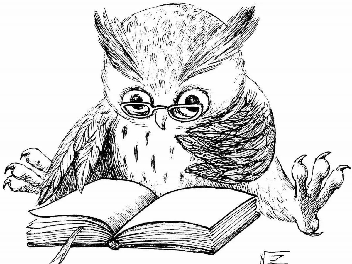 Запусти чат с сова угадай книгу. Сова с книгой. сова рисунок. раскраска умная сова с книгой. рисунок сова с книгой.