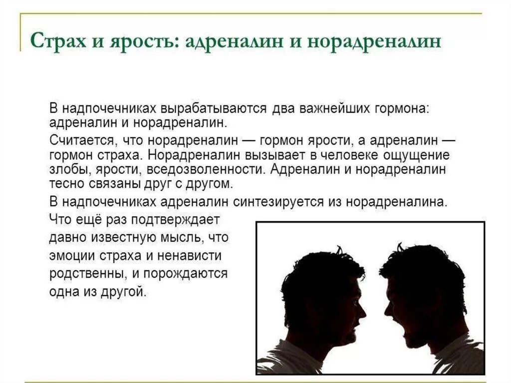 Как резко повысить адреналин. Адреналин и норадреналин функции. норадреналин и адреналин разница. различия адреналина и норадреналина. влияние адреналина и норадреналина на организм.