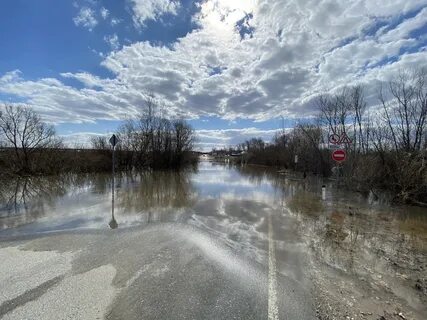 Мост в пурдошках сегодня 2024