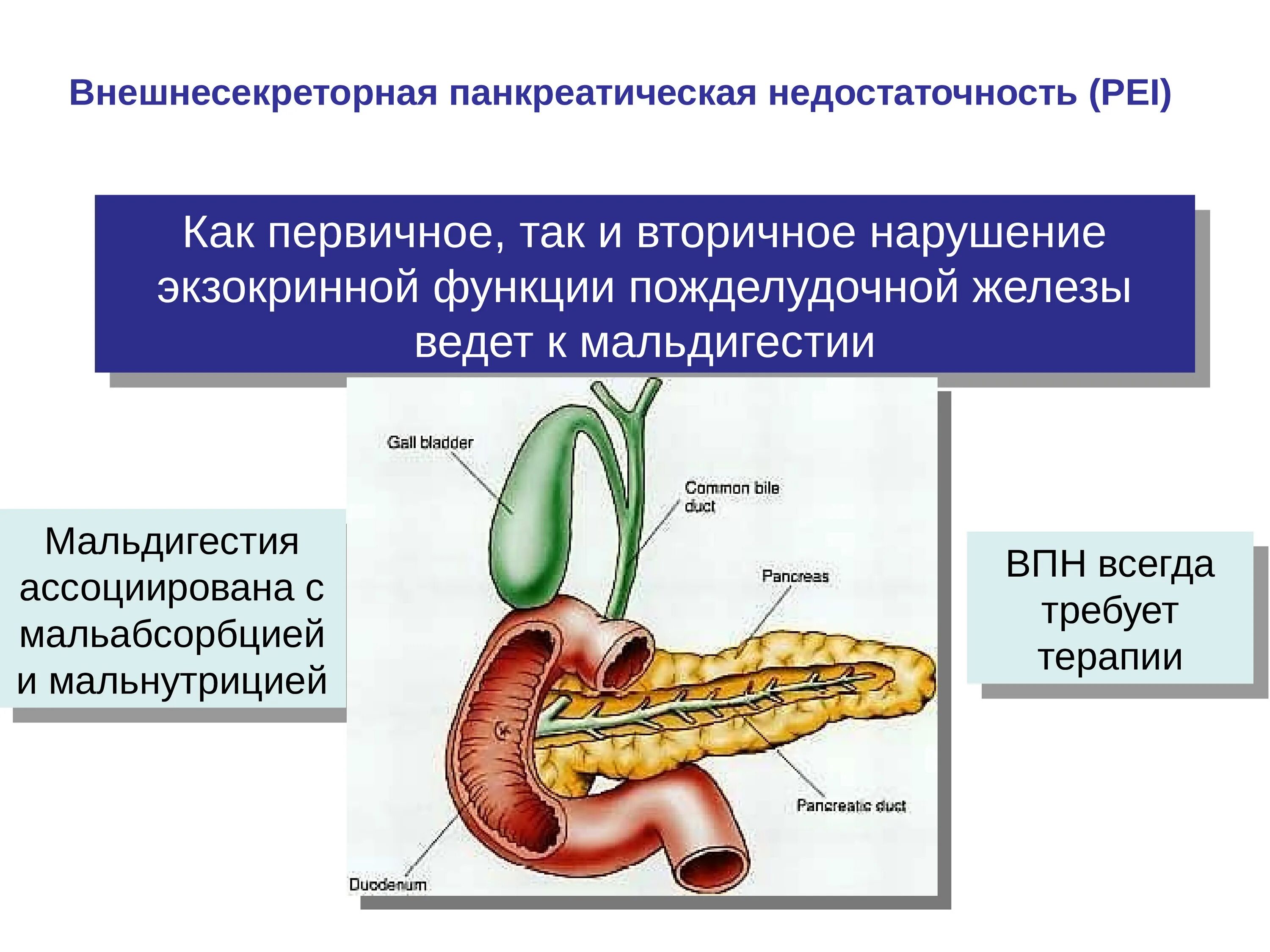 Осложнения поджелудочной железы. Хронический панкреатит с внешнесекреторной недостаточностью. Нарушение экзокринной функции поджелудочной железы симптомы. Хронический паренхиматозный панкреатит. Экзокринная недостаточность поджелудочной железы.