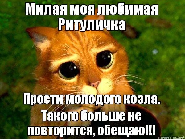 Прости меня я дурак. Как мило я прощена. Как мило я прощена. Как мило я прощена. Как мило я прощена.
