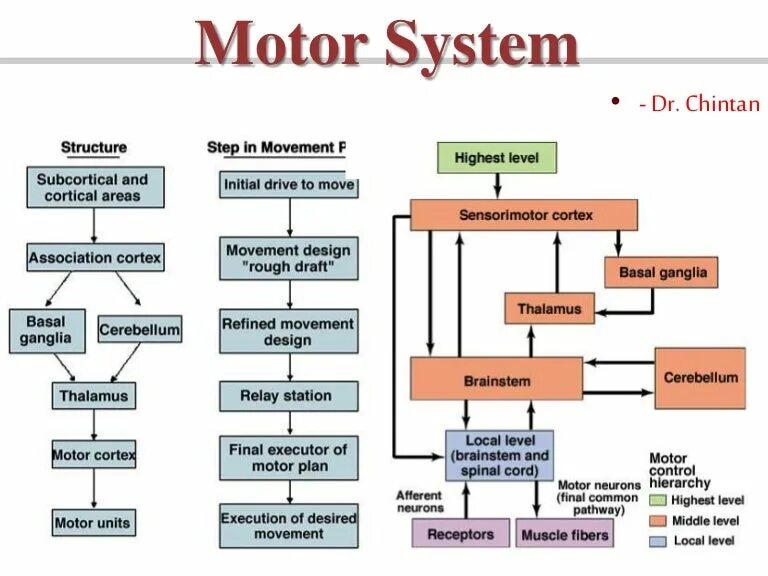 Motors systems