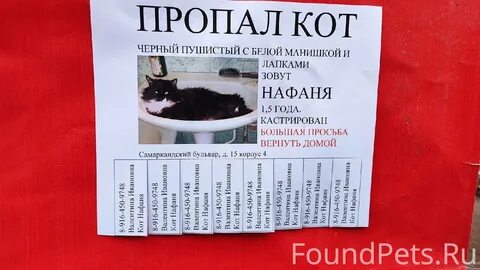 Помогу исчезнуть