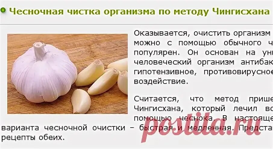 Чеснок от паразитов