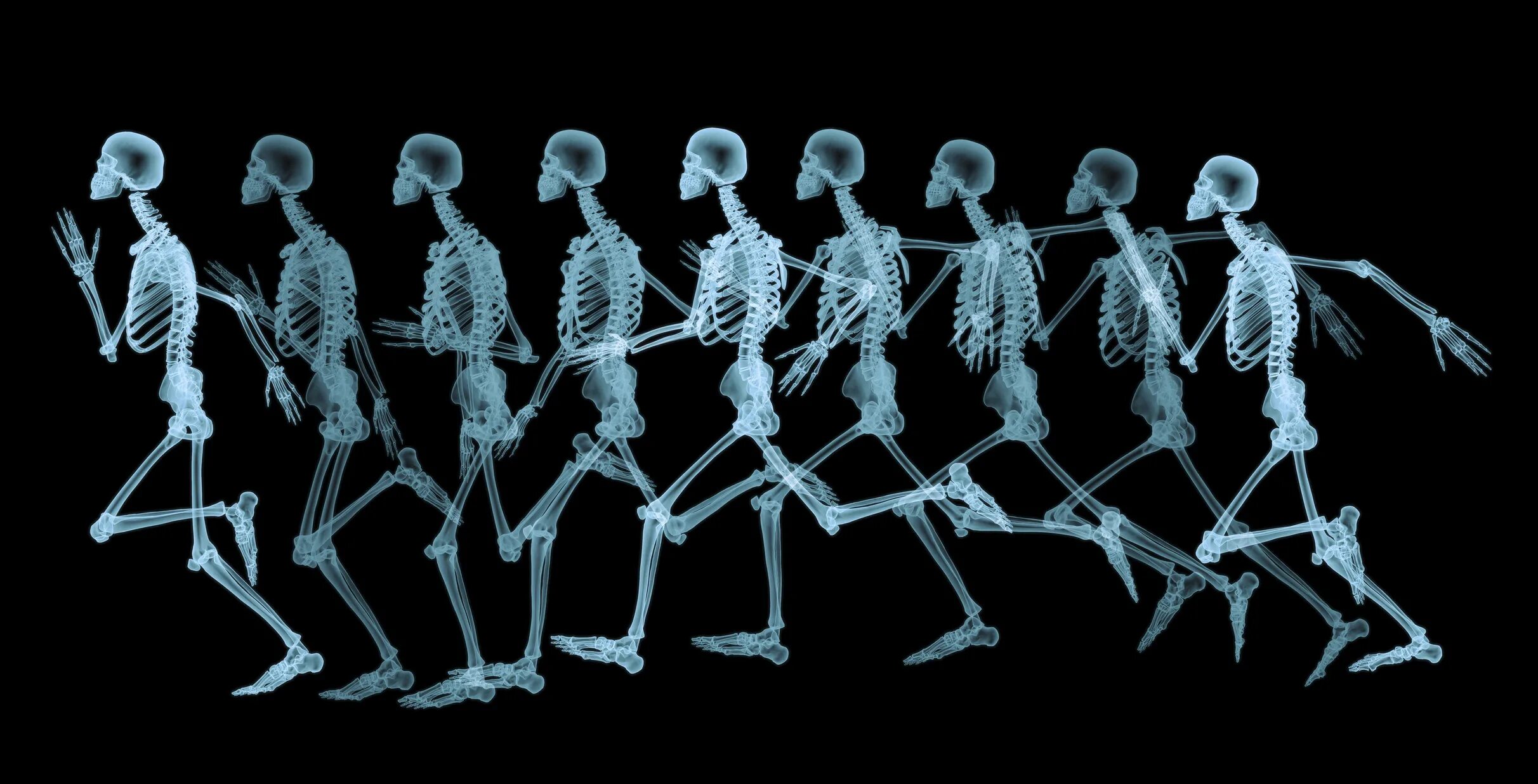 Bones how