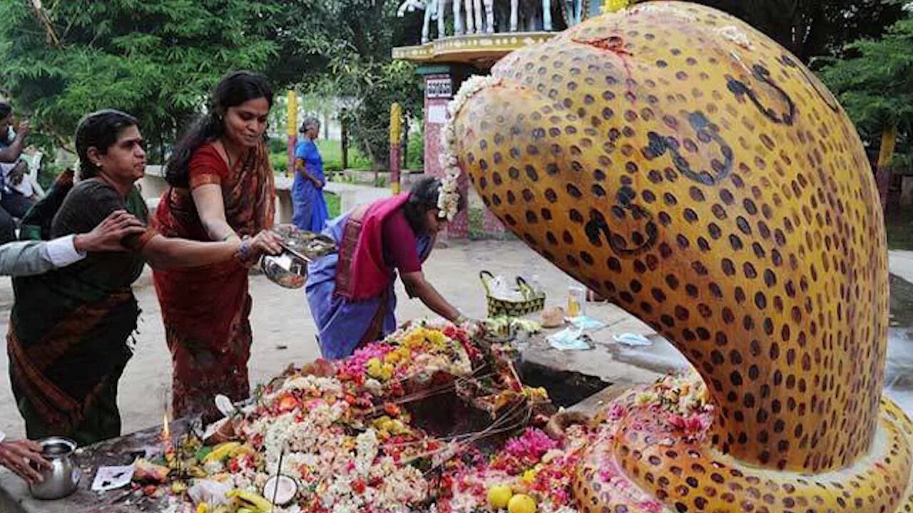 Индийский про змей. Праздник Nag Panchami в Индии. Нагапанчами Индия змеи. Праздник змей в Индии. Почитание змей в Индии.