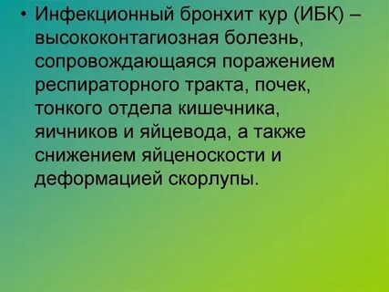 Инфекционный бронхит