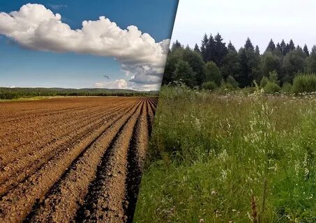 Зу сельхозназначения