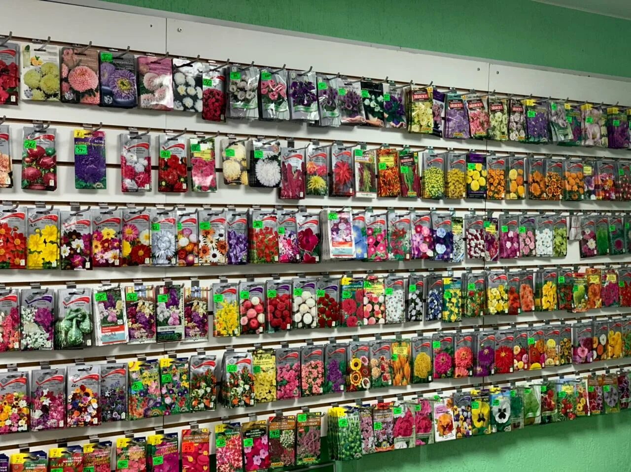 интернет магазин дачная коллекция в самаре. магазин дачная коллекция. интернет магазин дачная коллекция каталог. магазин дачная коллекция. дачный магазин на кирова чита.