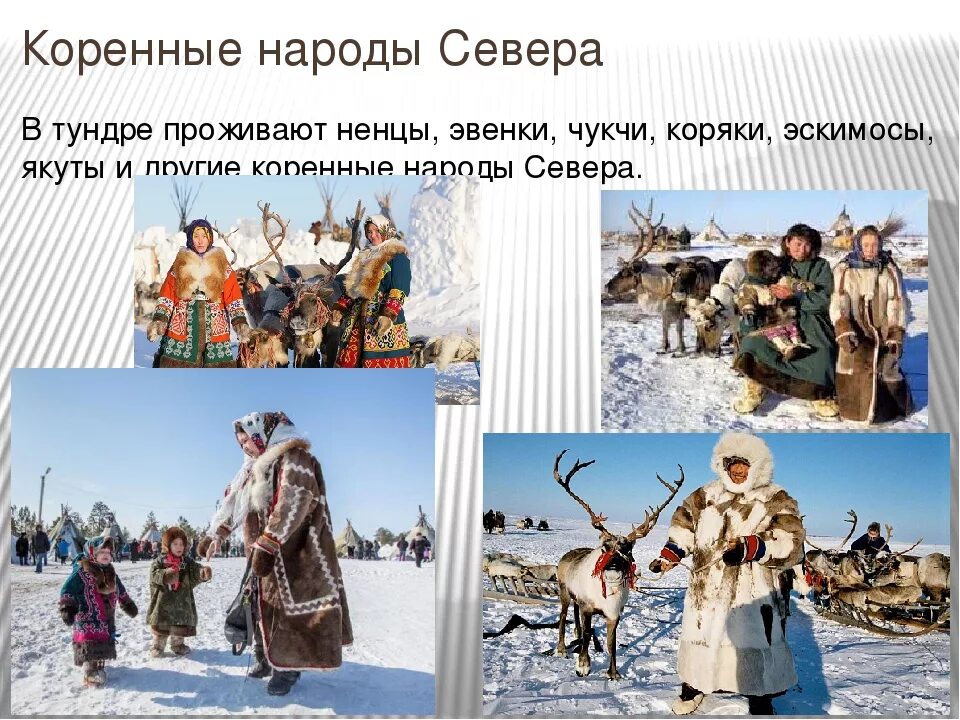 Какой народ россия самый северный. Народы крайнего севера. Занятия северных народов. Занятия народов севера России. Коренные жителитуедры.