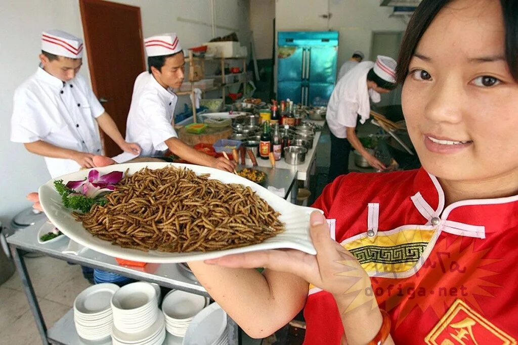 Где едят червей. Странная китайская еда. Необычная еда. Еда из насекомых в Китае.
