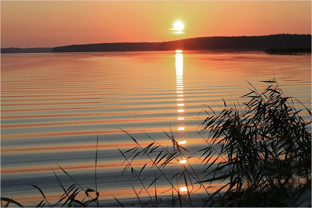 Озером закат текст. Озеро Селигер вечер. Озеро Селигер закат. Селигер рассвет. Озеро Селигер рассвет.