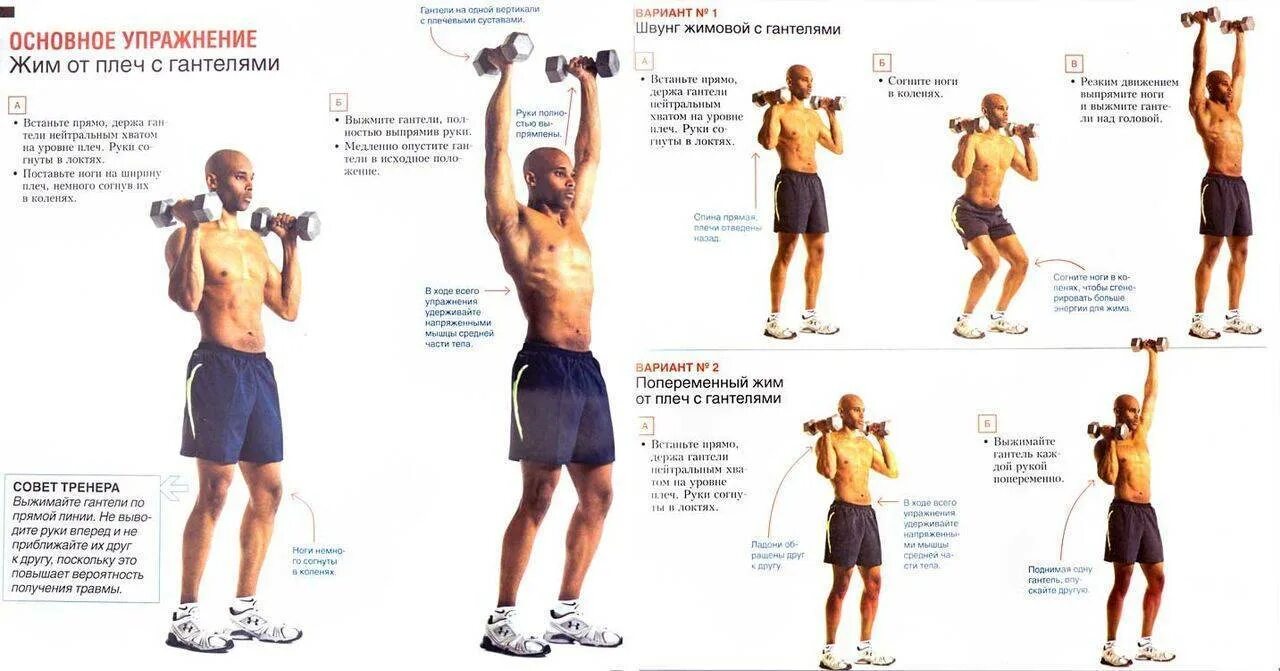 Программа для массы с гантелями. Комплекс базовых упражнений с гантелями для мужчин. Комплекс силовых упражнений с гантелями с описанием. Тренировки с гантелями в домашних условиях. Упражнения на руки.