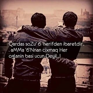 Pis dost