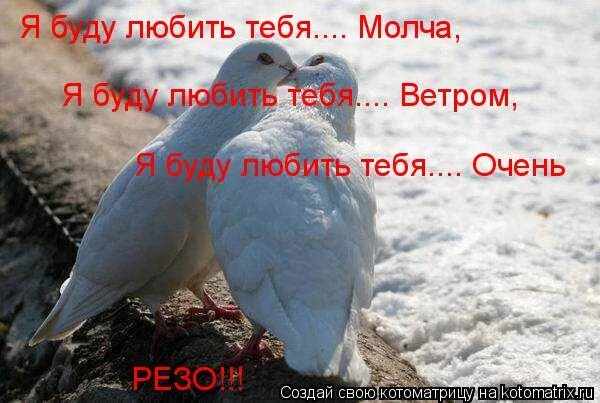 Пусть молча. Люблю тебя молча. любить молча. буду любить тебя. я буду любить тебя молча.