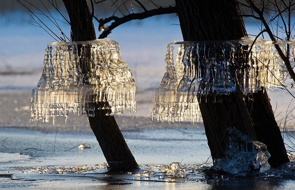 красота зимы. морозные цветы. необычная зима. инфракрасные пейзажи. зима фото.