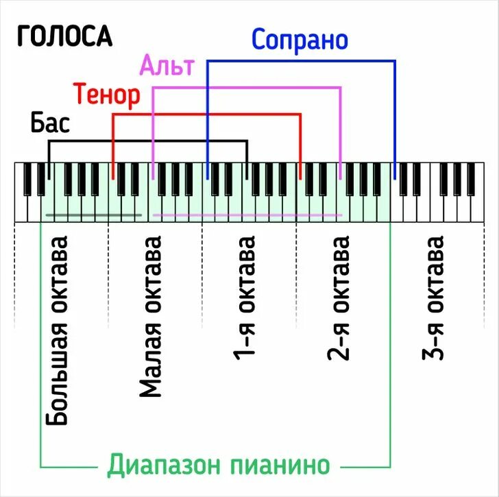 Баритон диапазон. Диапазон тенора. Октавы диапазон. Тенор диапазон голоса. Октавы голоса.