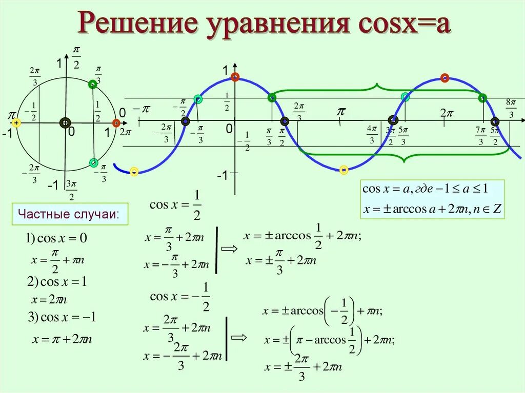 Cos 1 2. Решение тригонометрических уравнений формулы и частные случаи. Решение уравнений с синусами и косинусами. Тригонометрическая функция косинуса х. Решение тригонометрических уравнений косинус.