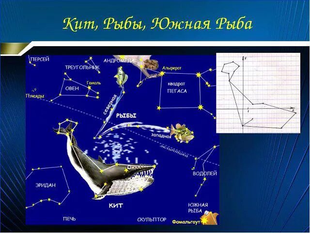 Кит гороскоп. Созвездие кита знак зодиака. 14 Знак зодиака кит. Созвездие рыбы Дата.