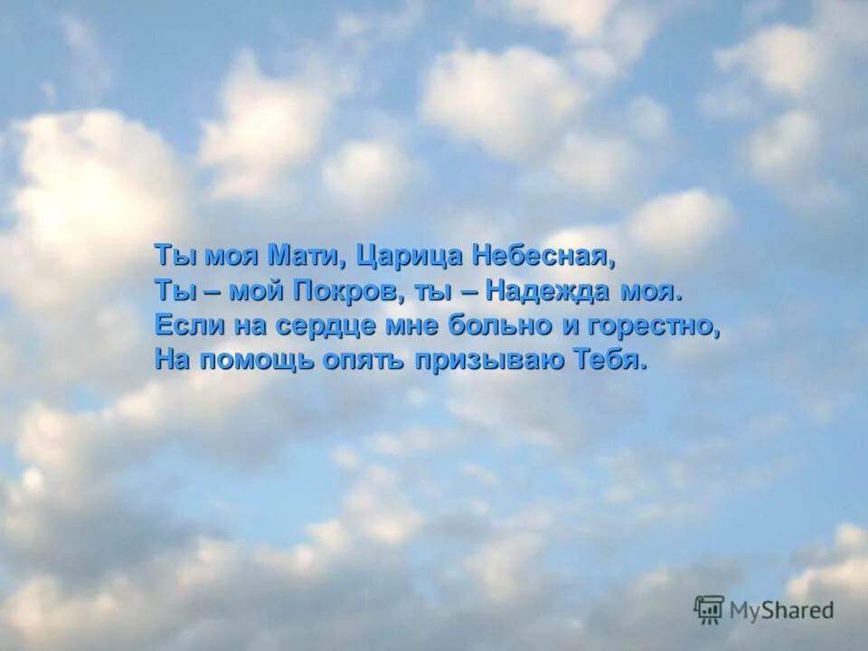 Царица любовь текст. Царица любовь текст