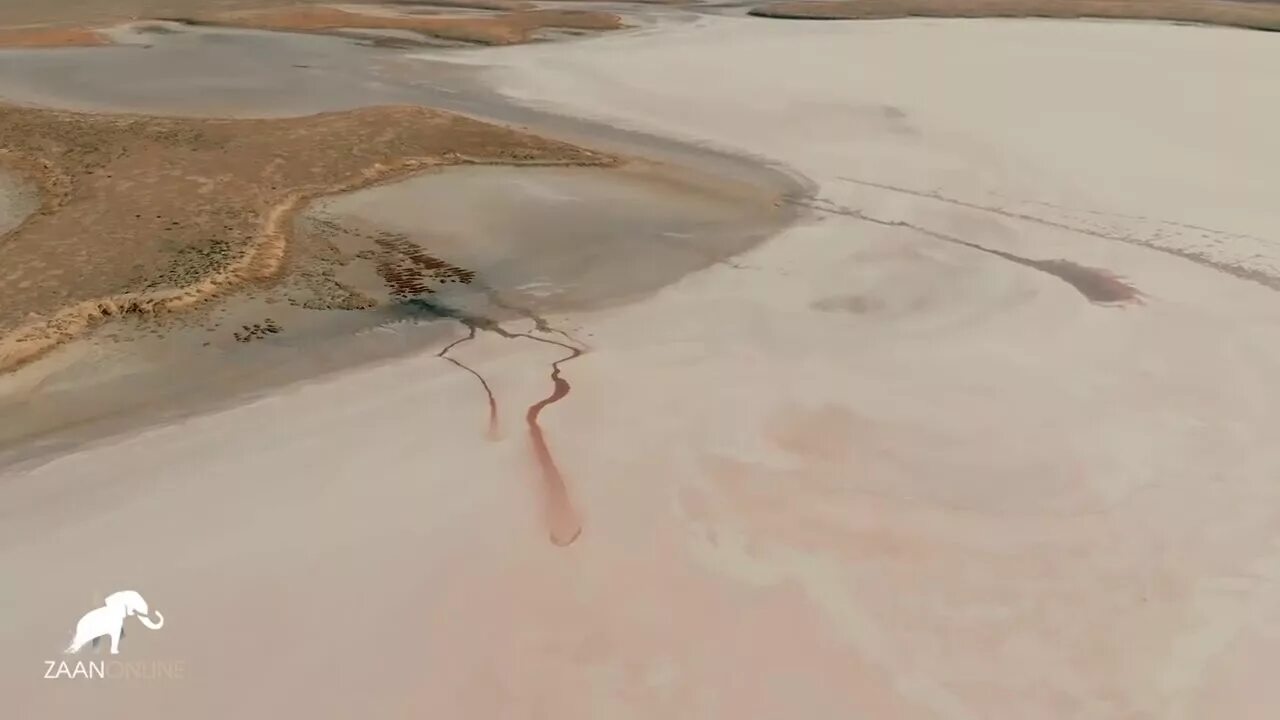 Канал бумба. Розовое озеро Адык Элиста. Озеро Адык Калмыкия. Этносело Адык. Поселок Адык Калмыкия розовое озеро.