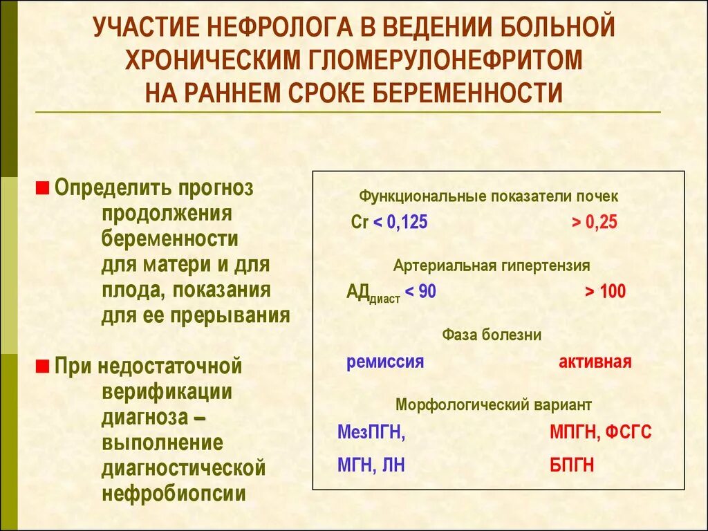 Нефролог. С днем нефролога открытки. Сроки направления к нефрологу. Ответы нефролога. Показания для консультации нефролога.