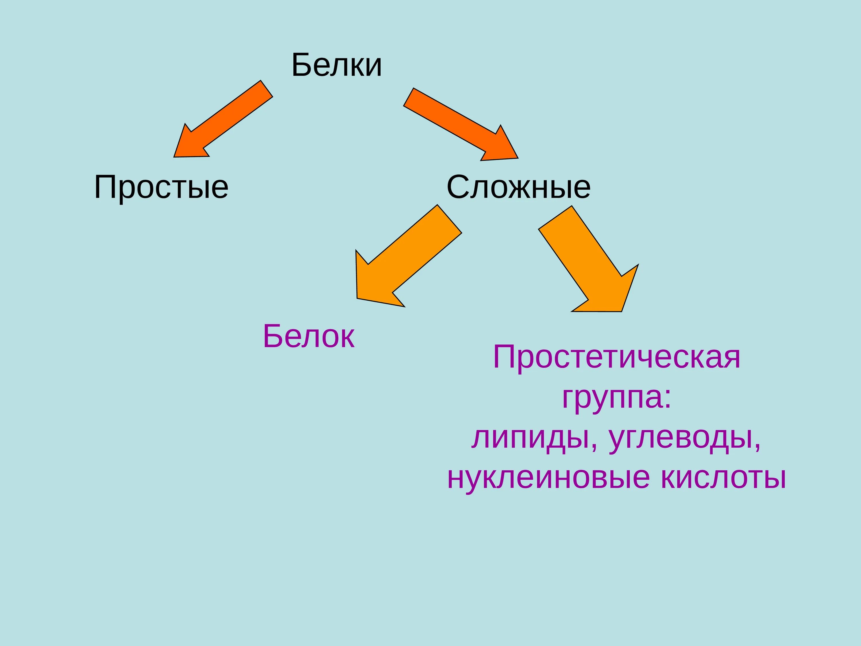 Группы сложных белков. Простые и сложные белки. Примеры простых белков. Простые белки и сложные белки. Простые и сложные белки примеры.