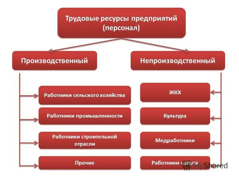 Ресурсные организации это. Схема трудовых ресурсов предприятия. Трудовые ресурсы предприятия схема. Виды трудовых ресурсов предприятия. Ресурсы работника и предприятия.