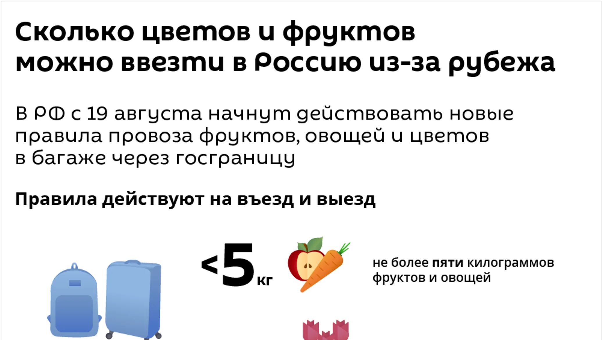 Сколько можно вывезти из абхазии. Можно ли провести фрукты через границу. что нельзя провозить через границу. памятка ввоз фруктов из-за границы.