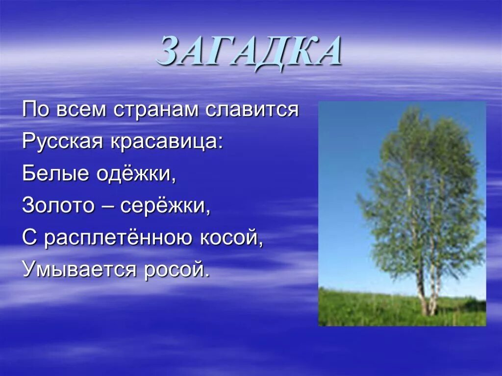 Загадки природы. Загадки о родине. Загадки на тему природа. Загадки на тему родная природа. Загадка со словом природа