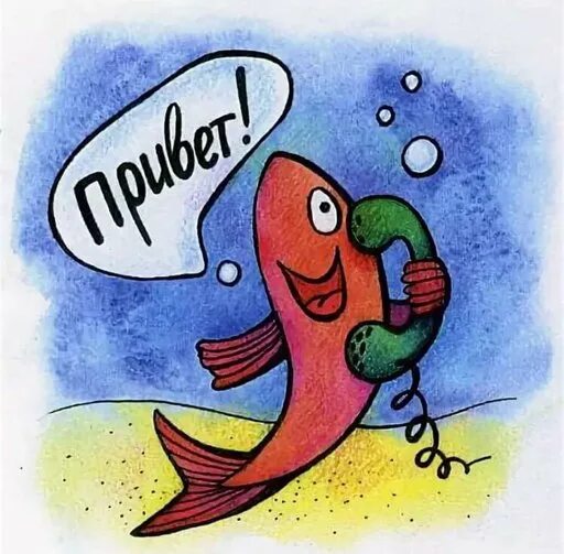 рыбка немо картинка. рыба дори в мультфильме немо. рыба пиранья. дори из немо. удивленные рыбы.