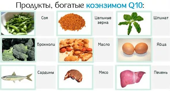 Витамин в 10 в продуктах. Продукты содержащие коэнзим q10 в большом количестве. Коэнзим q10 продукты таблица. Витамин q10 где содержится. Продукты содержащие кофермента q10.