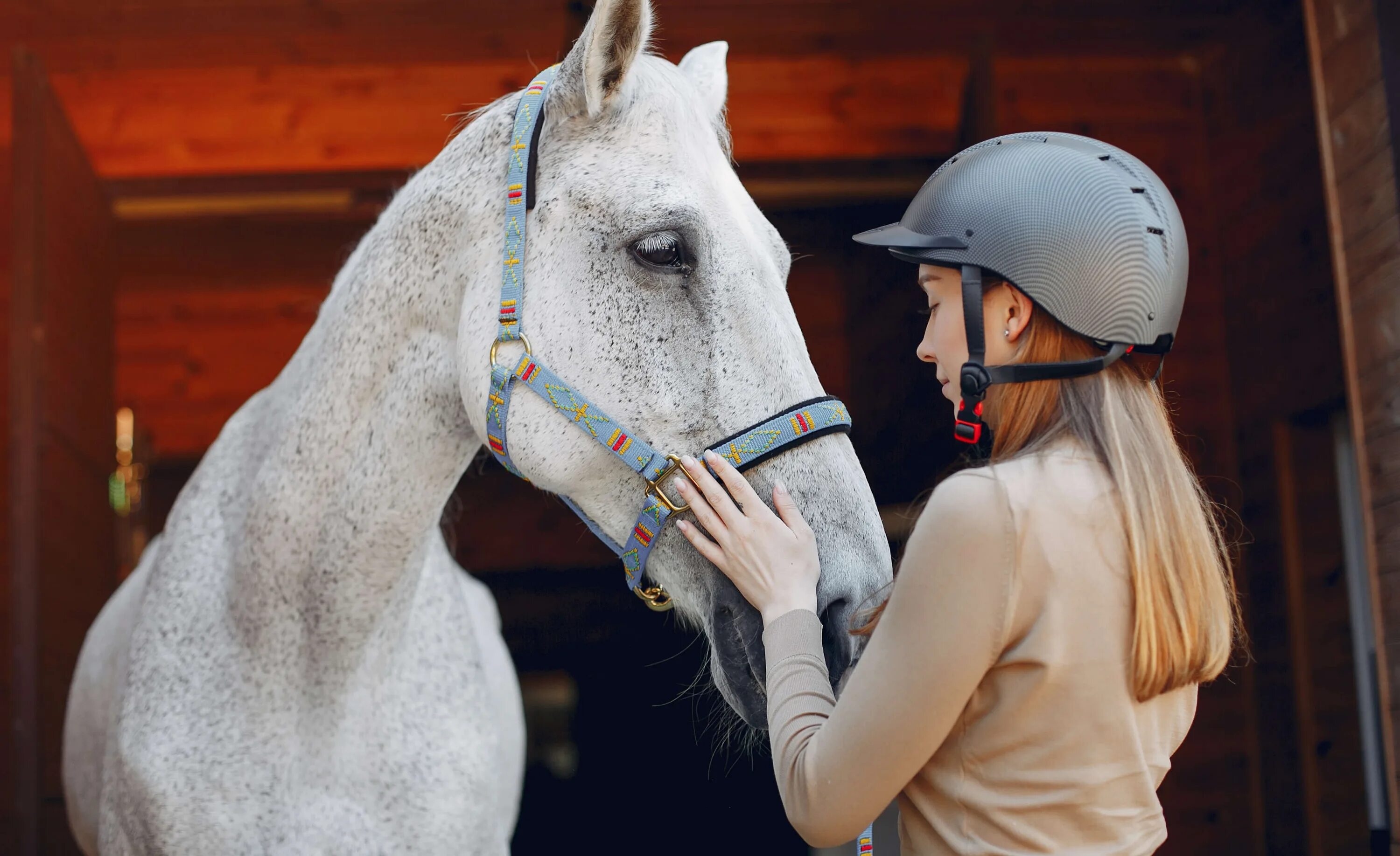 Клава Кока обои на рабочий стол. Mary likes to Ride Horses.