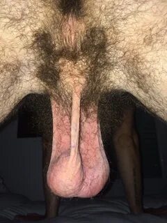 Slideshow big hairy balls porn.