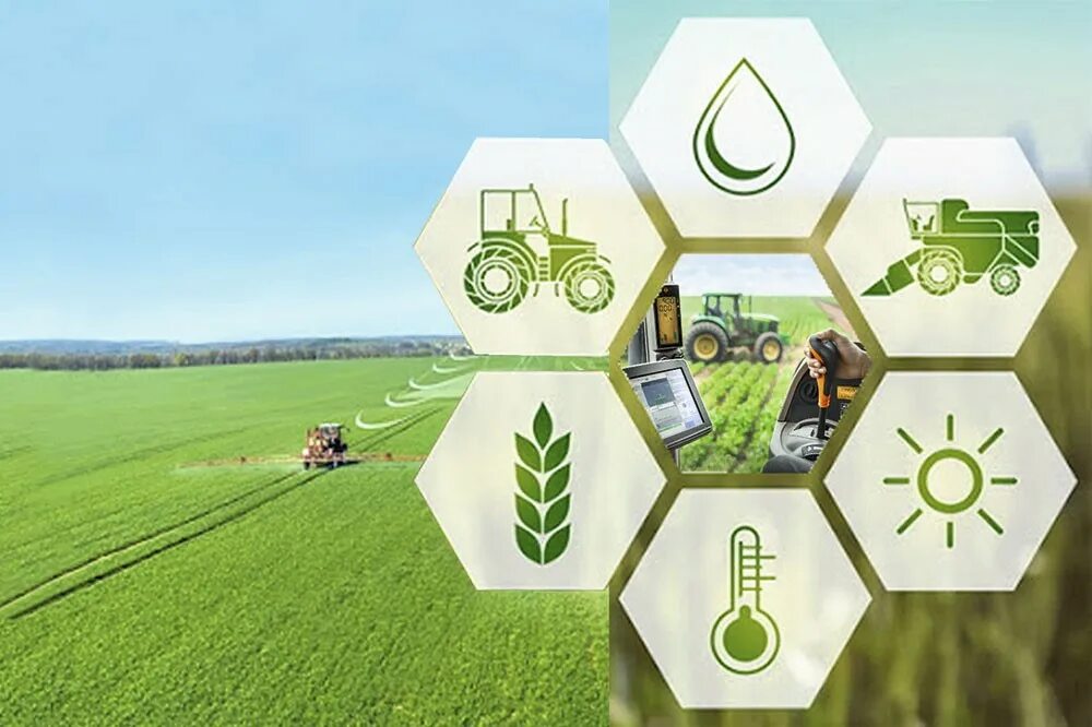 цифровая трансформация агропромышленного. трансформация сельского хозяйства. интернет вещей в сельском хозяйстве. что такое цифровая трансформация в агропромышленном комплексе?. цифровая трансформация агропромышленного.