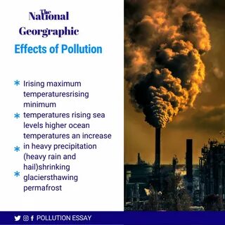 Pollution Effects On Humans And The Environment Free Essay Example. 