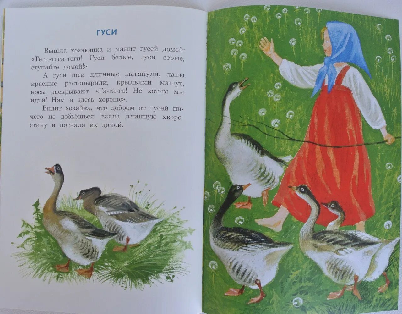 Гуси произведение. Ушинский гуси. к д ушинский сказка гуси. ушинский гуси гуси. иллюстрации к рассказу гуси ушинского для детей.