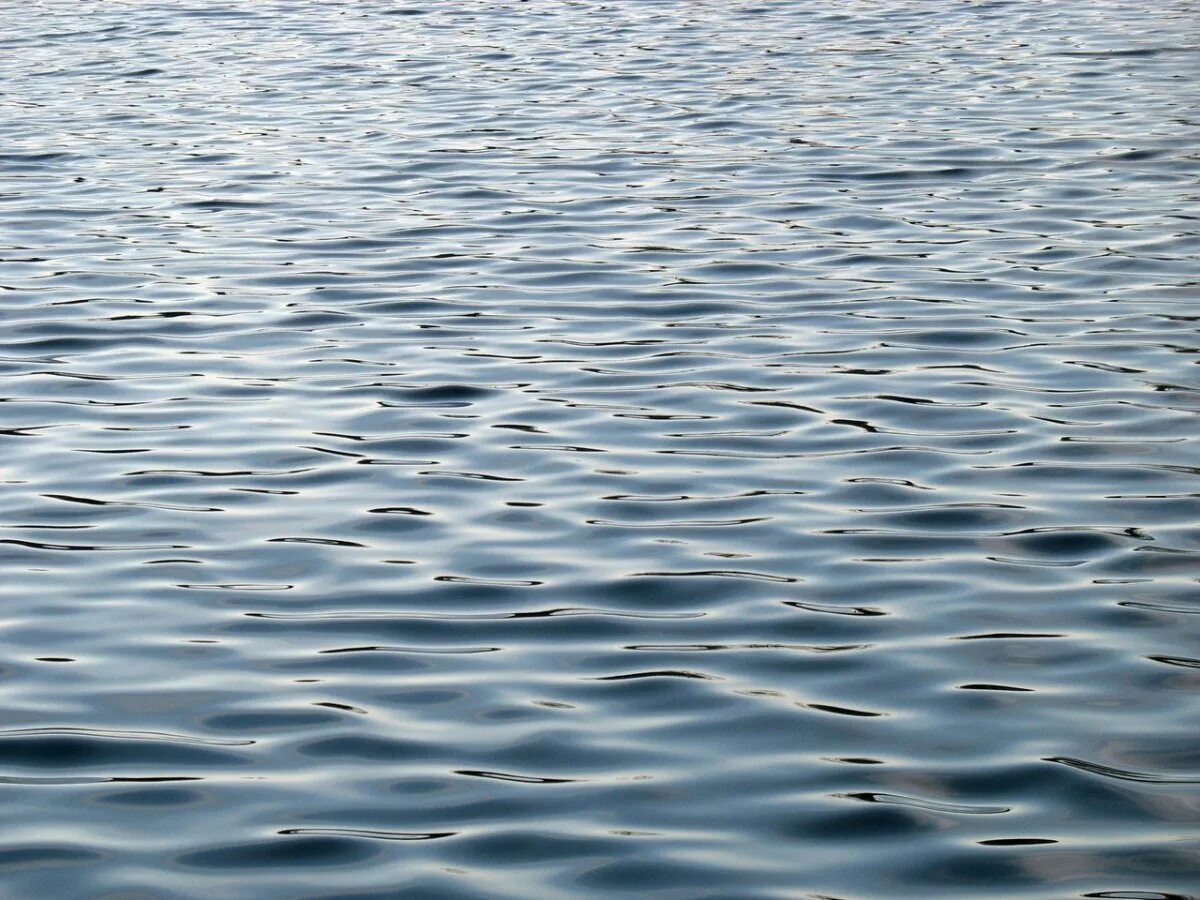 Там в озерах вода. Водная гладь. Водная гладь реки. Поверхность воды. Прозрачная гладь воды.