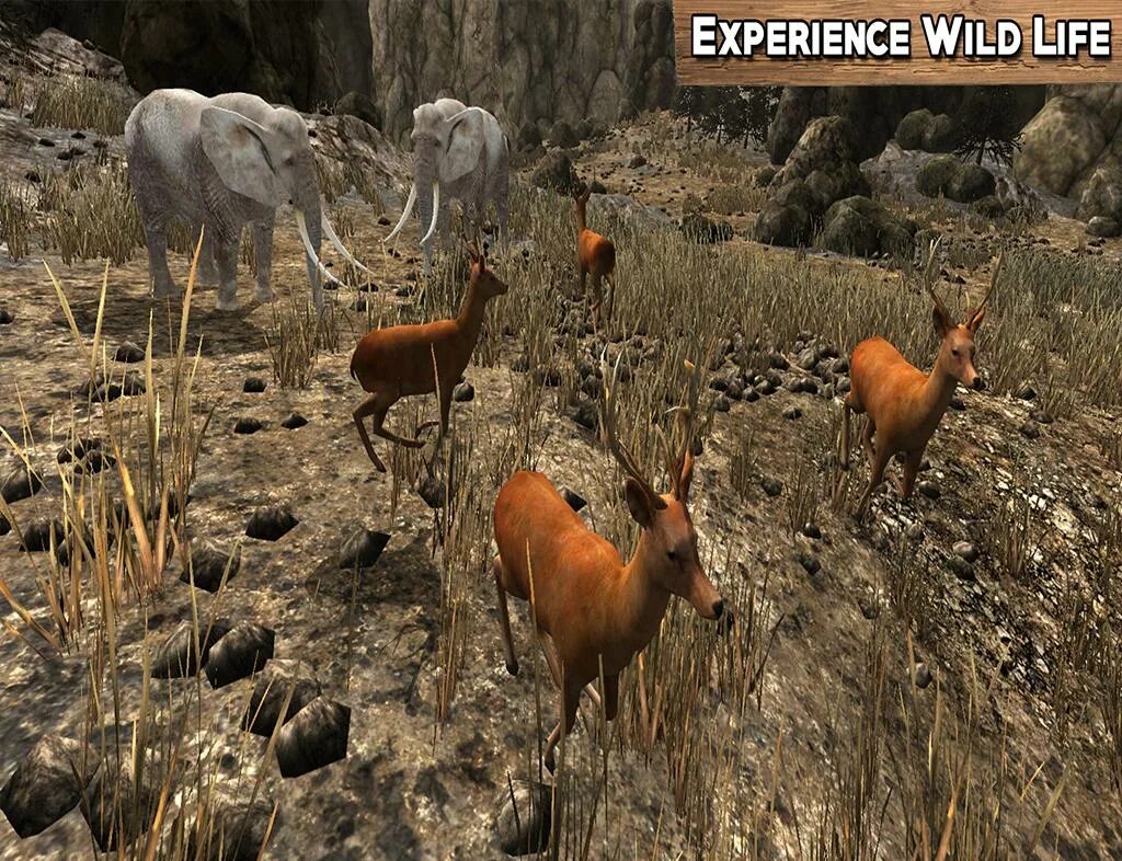 Вилд лайф. Wildlife моды. дикая жизнь игра. wildlife игра персонажи. вилд лайф игра.