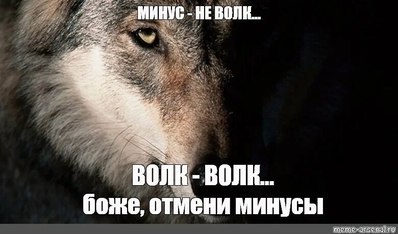 Минусовка волк. Мемы с волками. Волчица Мем. Грустный волк Мем. Волки смеются Мем.
