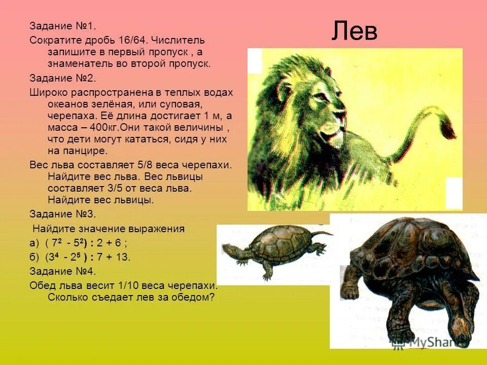 средняя масса льва. размеры льва. вес льва. сколько весит лев. плейстоценовый пещерный лев.