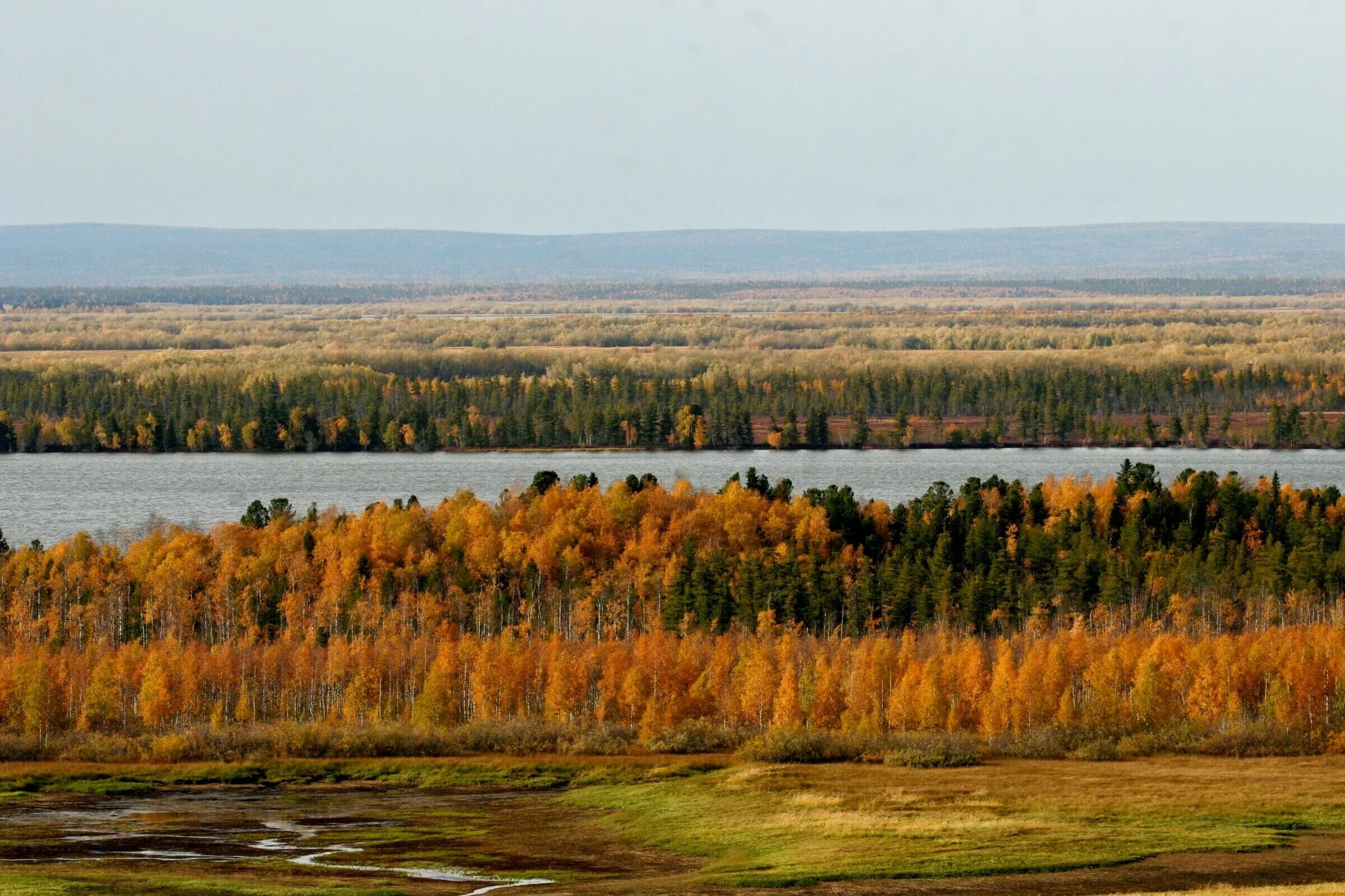 Государственные природные заказники. Орнитологический заповедник. Тунгусский заповедник растения. Заповедник особо охраняемая природная территория. Природные заказники.