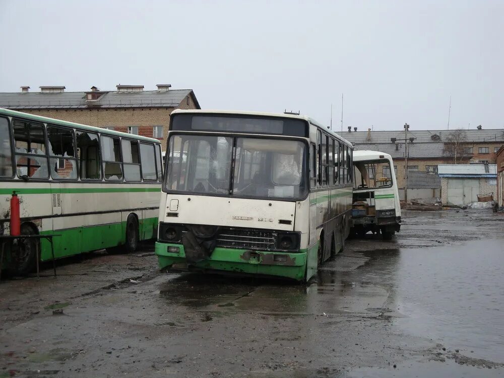 Маршрутка инта. Икарус 263 коми. автобус инта. автосус инта 5. автобус 3 инта.