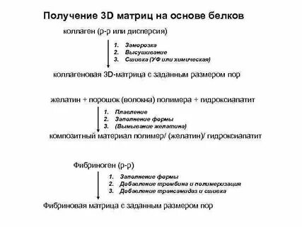 Матрица кости