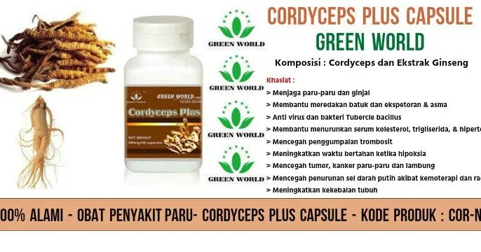 Capsule Cordyceps Plus Green World. Cordyceps Plus 30 капсул. Capsule normomass Green World. Тоник кордицепс.