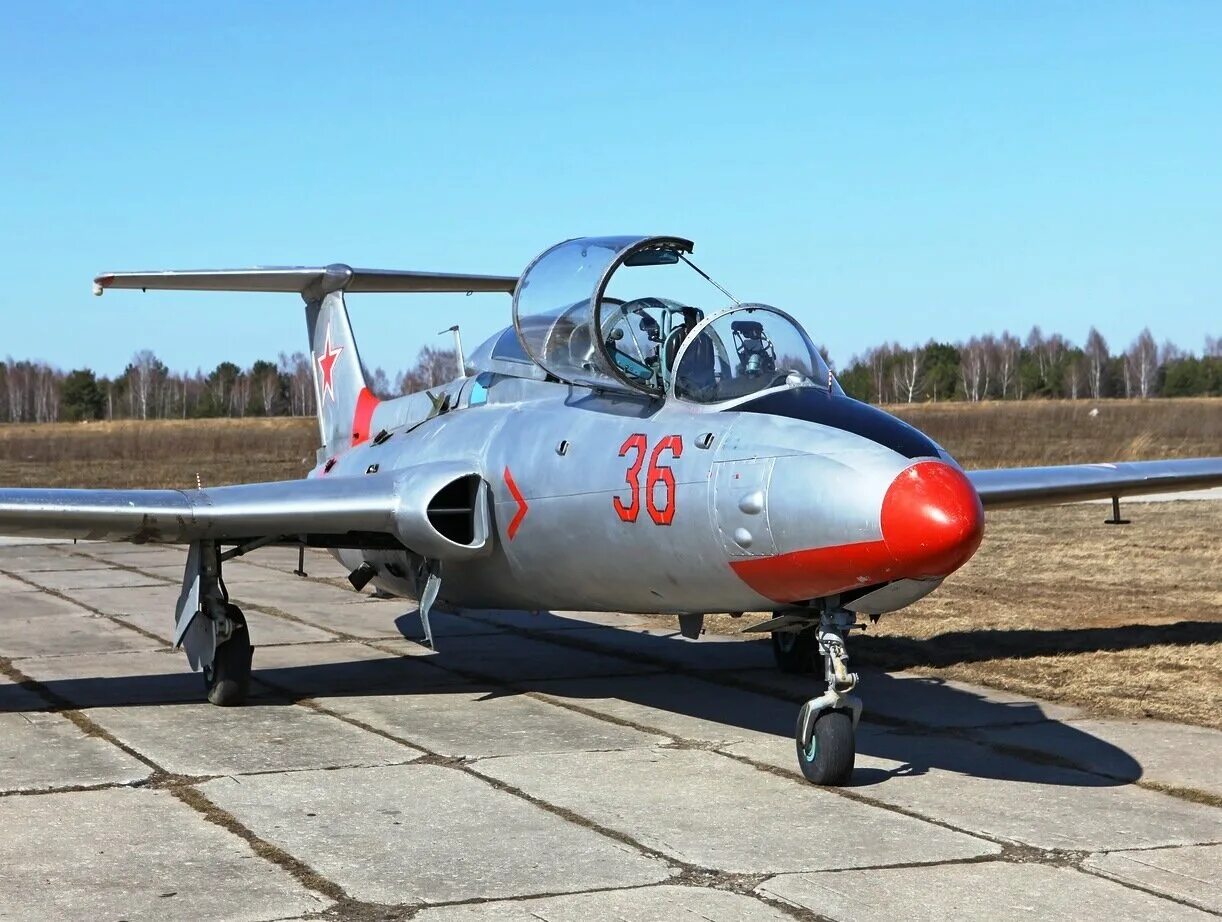 Aero l-29 Delfin. Л-29 Дельфин. L 29 истребитель. Самолёт l-29 Дельфин.