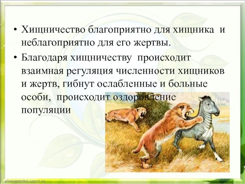 Хищничество является примером. Паразитизм хищничество в биологии. Хищничество презентация. Биотические взаимоотношения хищничество. Темы для презентаций хищничество.