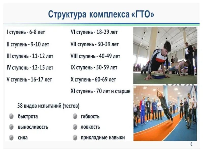 Как сдавать гто взрослым. Комплекс гто. презентация по гто для школьников. структура комплекса гто. новый комплекс гто.